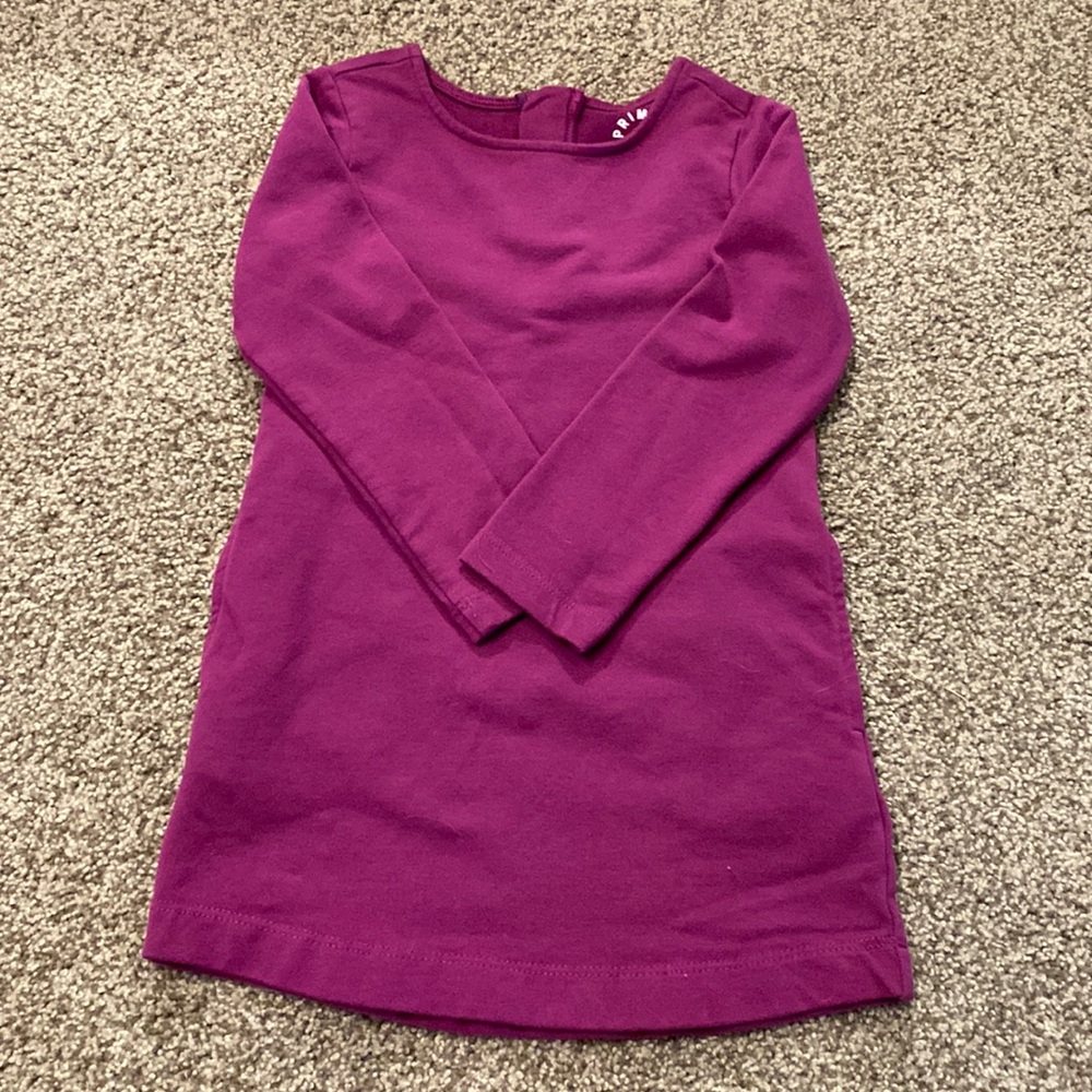 Primary sweatshirt dress